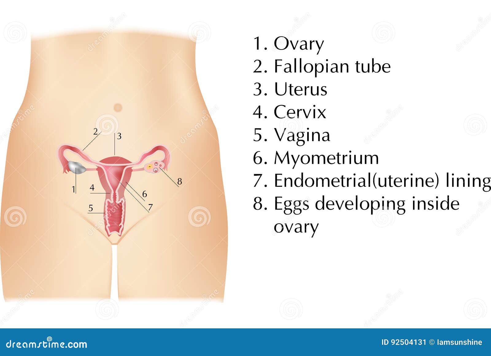 Female Inside