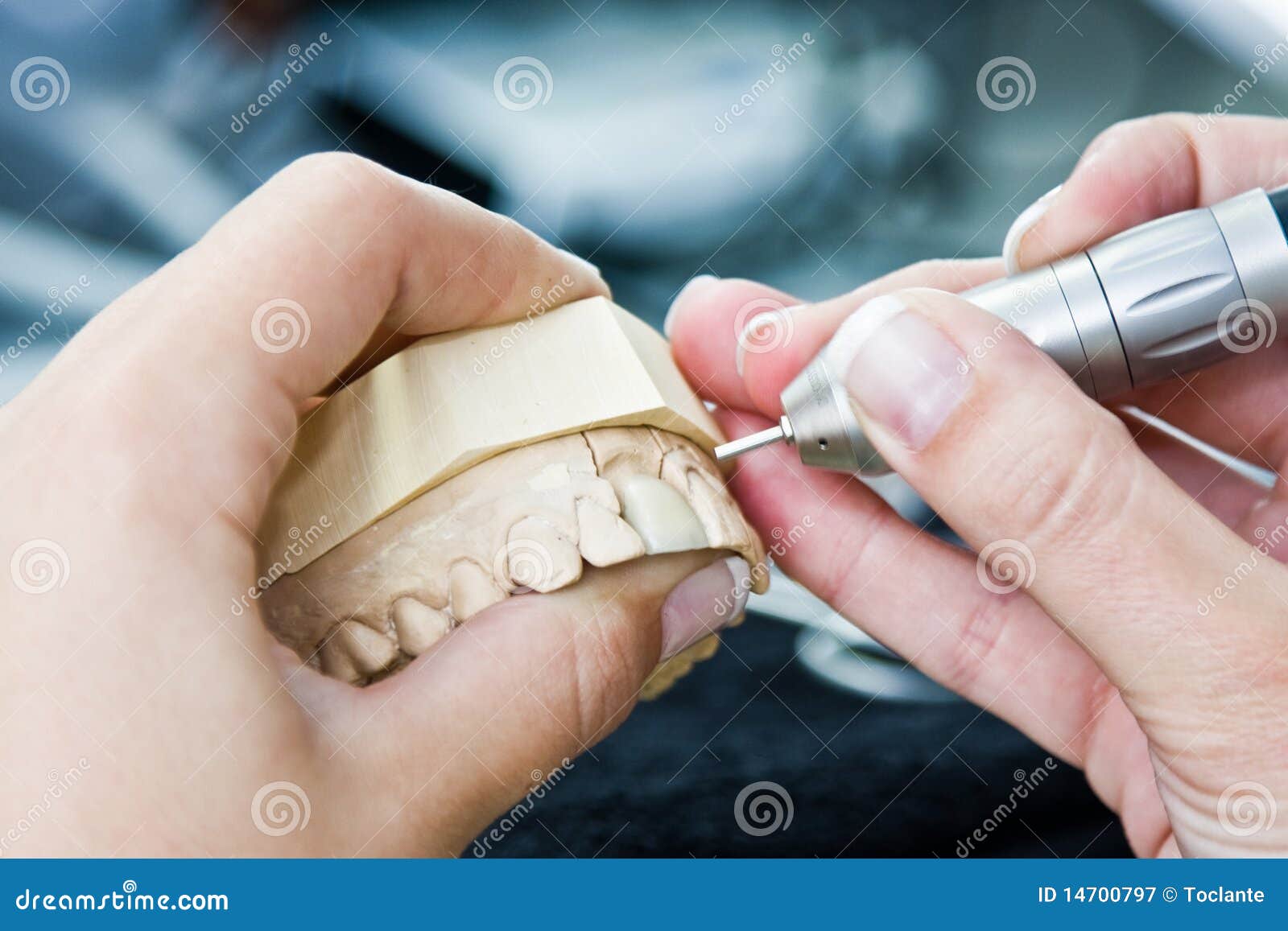 female orthodontist working