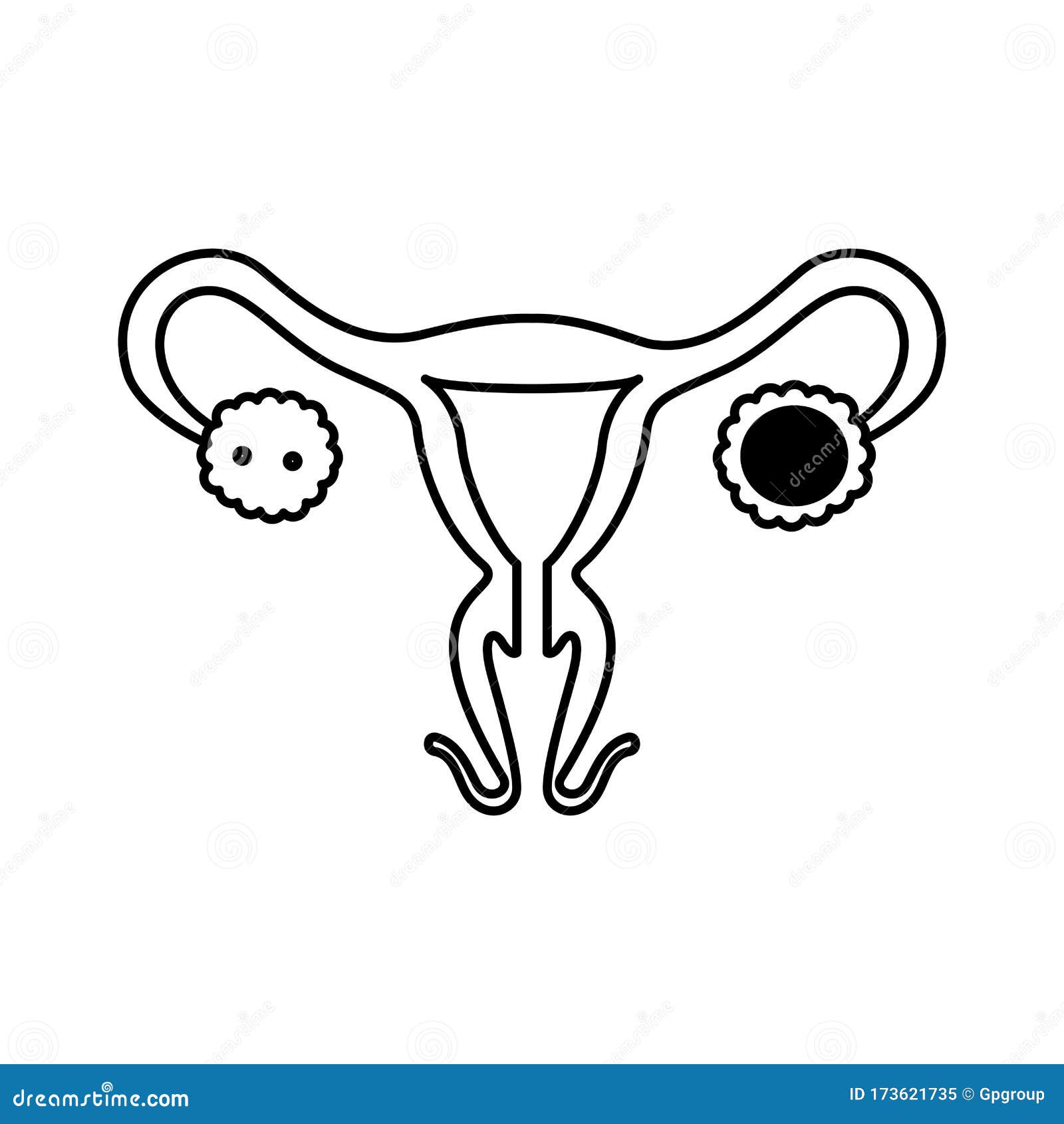 Isolated Female Reproductive System Icon Vector Design Stock Vector ...