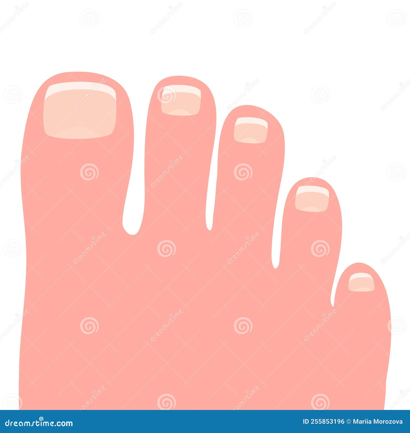 Female Right Foot Cartoon Vector Illustration Stock Vector ...