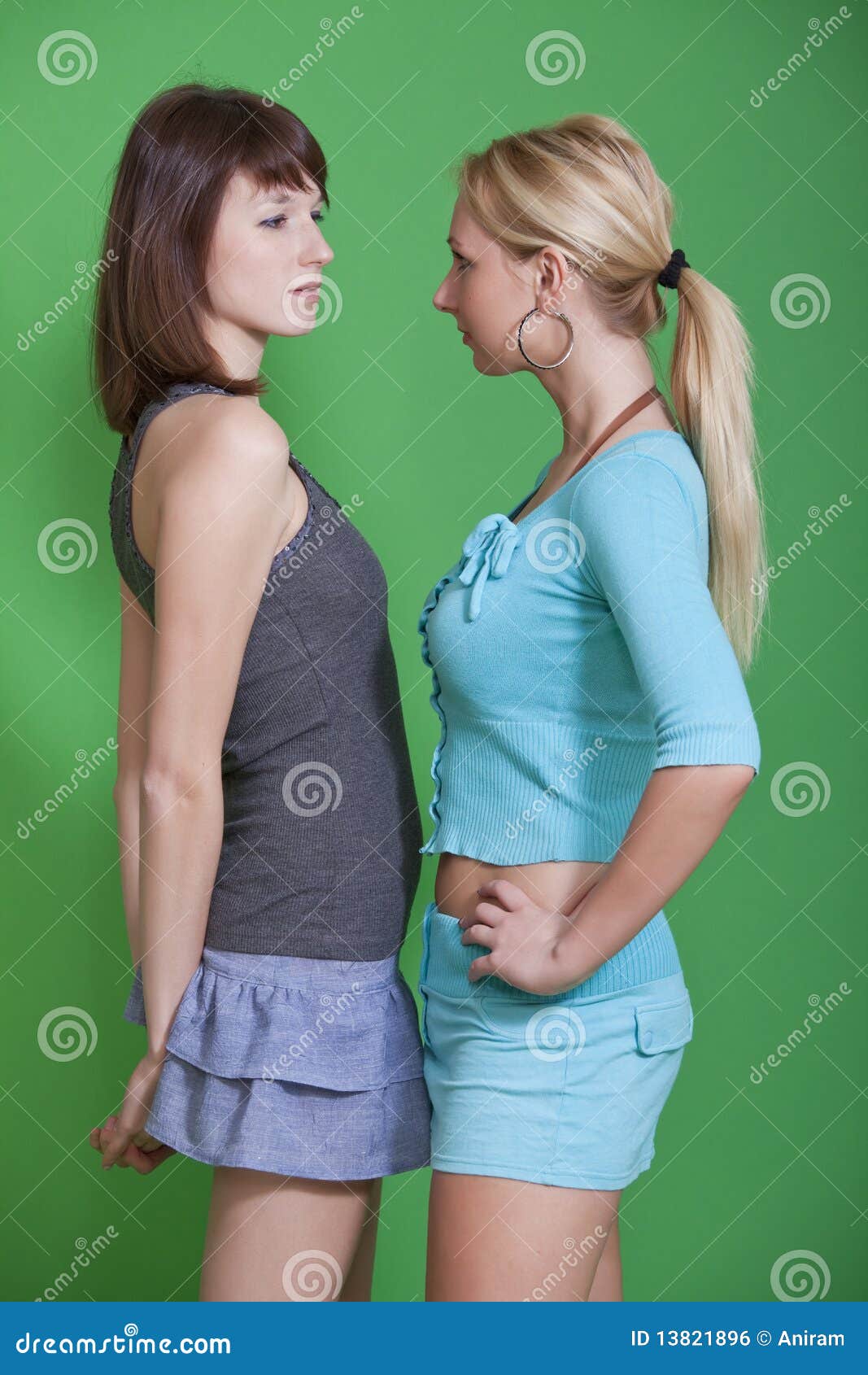 Female rivals stock photo. Image of conflict, rivals 13821896
