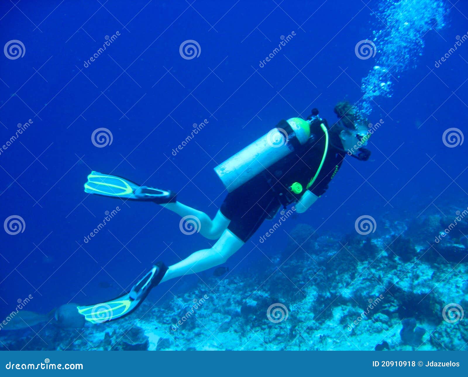 female scuba diver