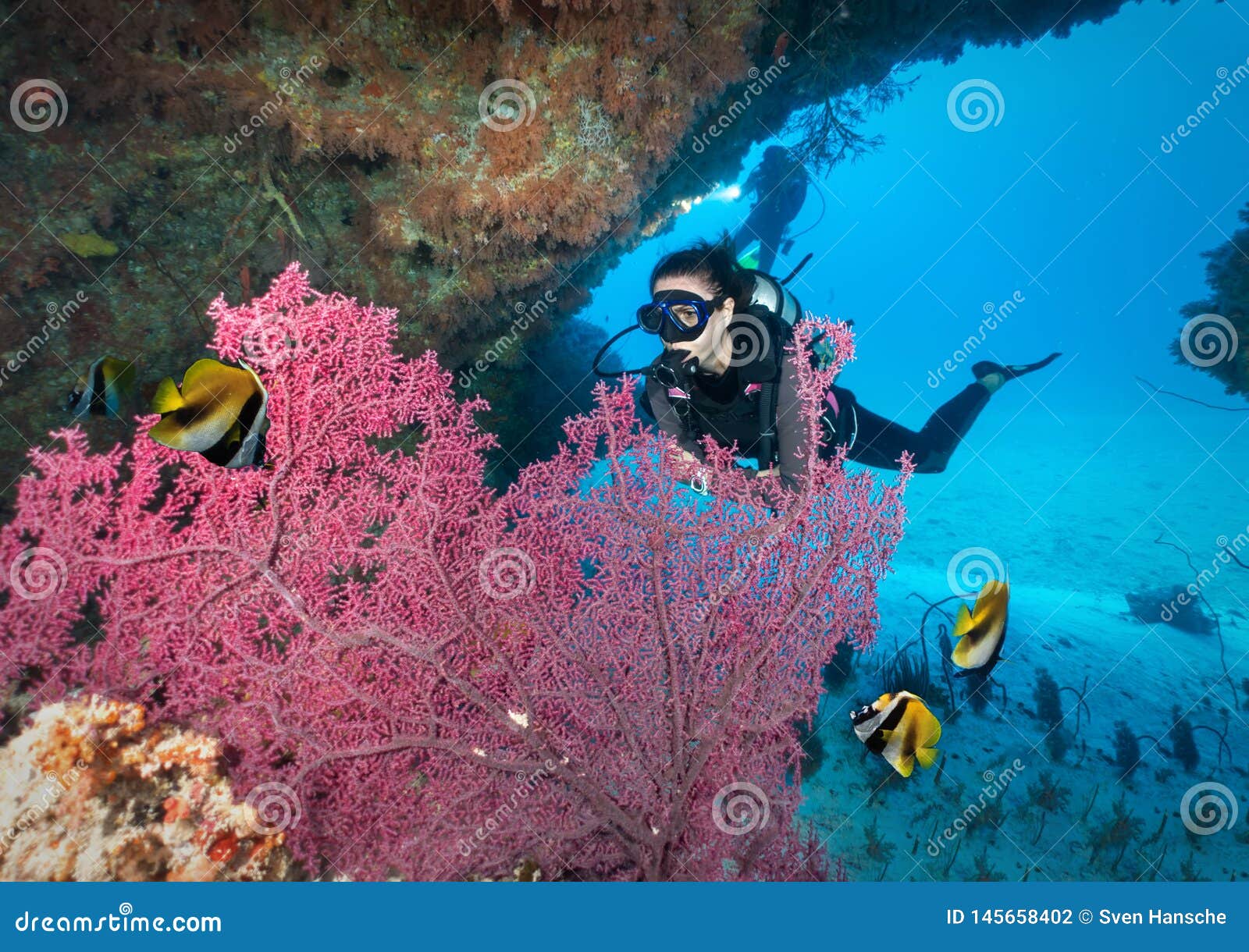 female scuba diver in the indian ocean, maldives