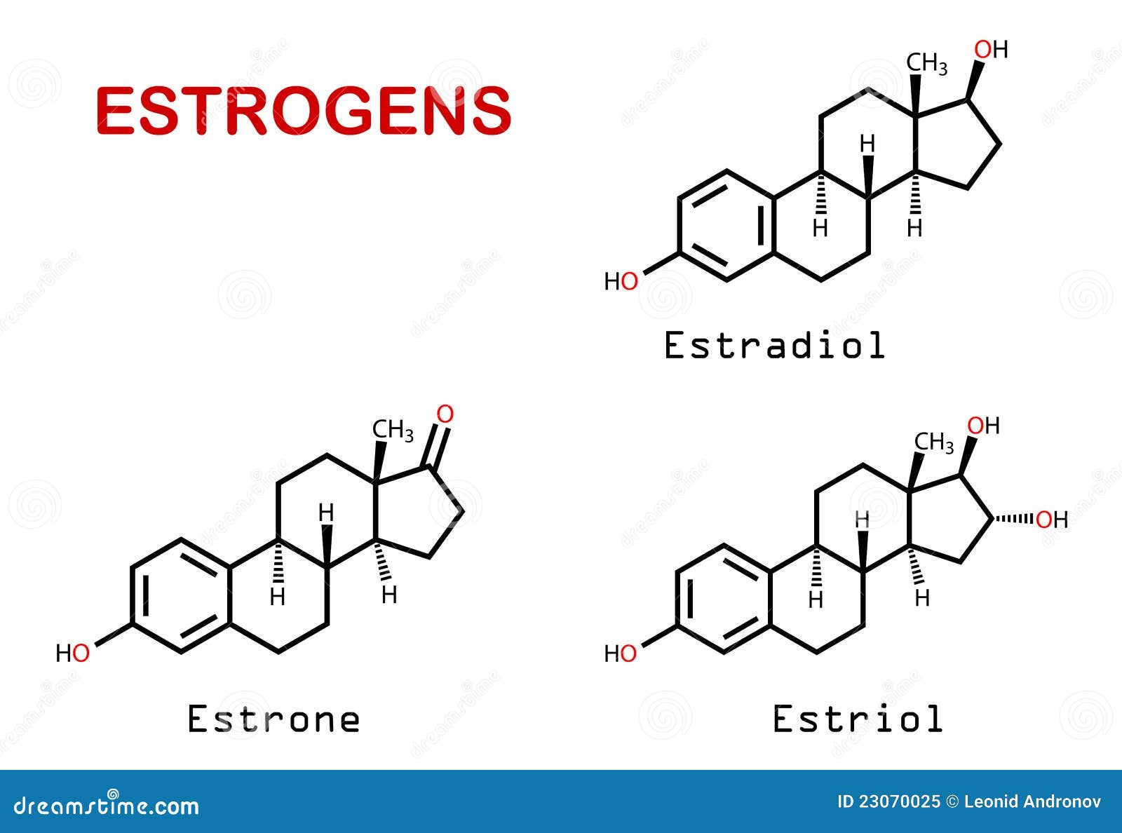 What Are The Female Sex Hormones 76