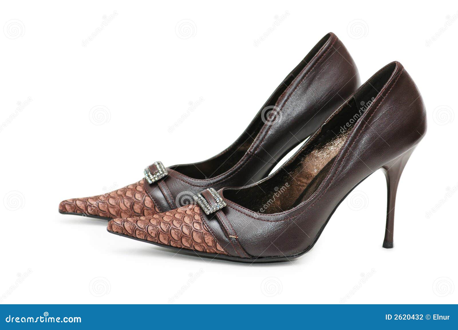 Female shoes isolated stock photo. Image of leather, shoe - 2620432