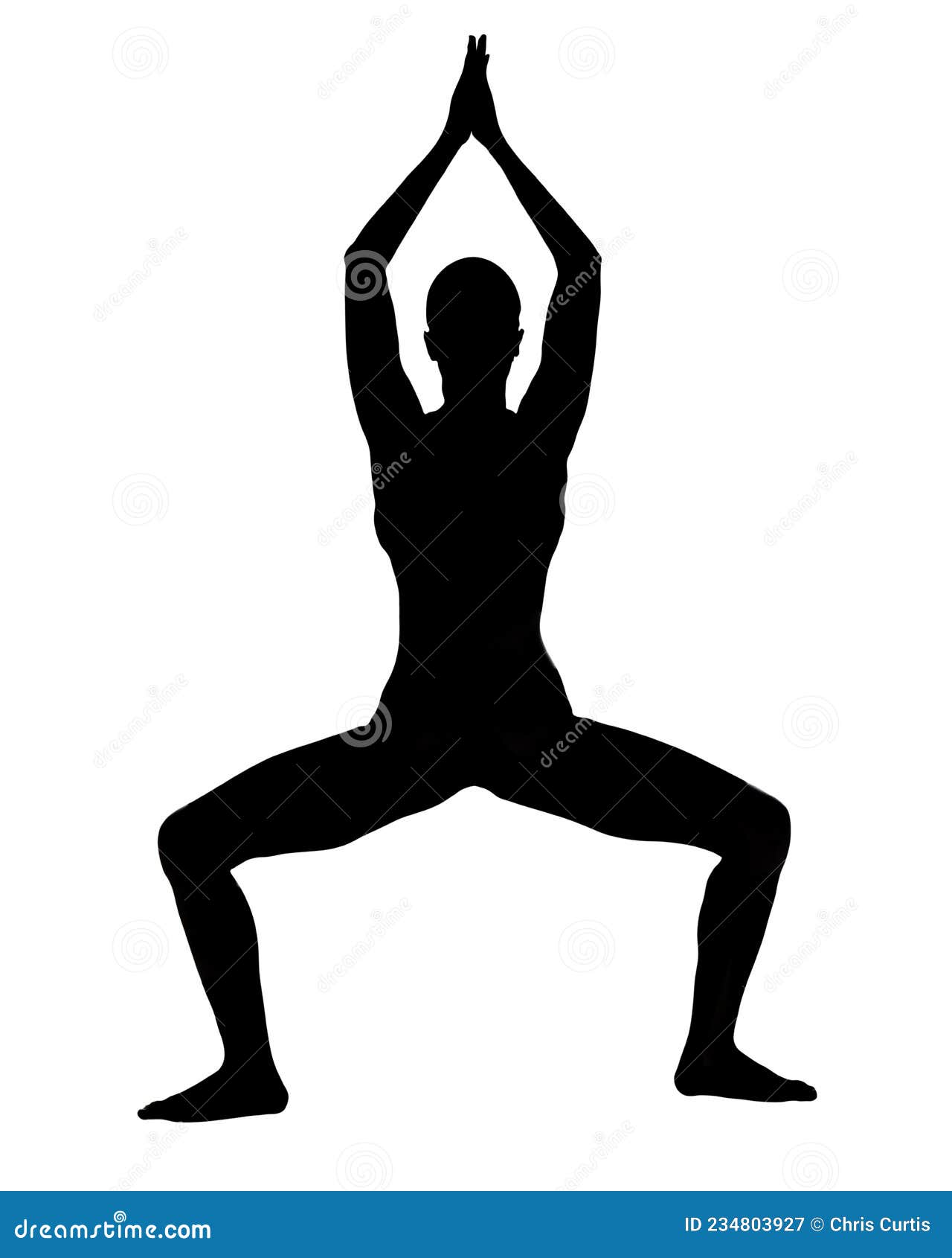 Female Silhouette in Yoga Tree Pose Variation Pose Stock Image Image