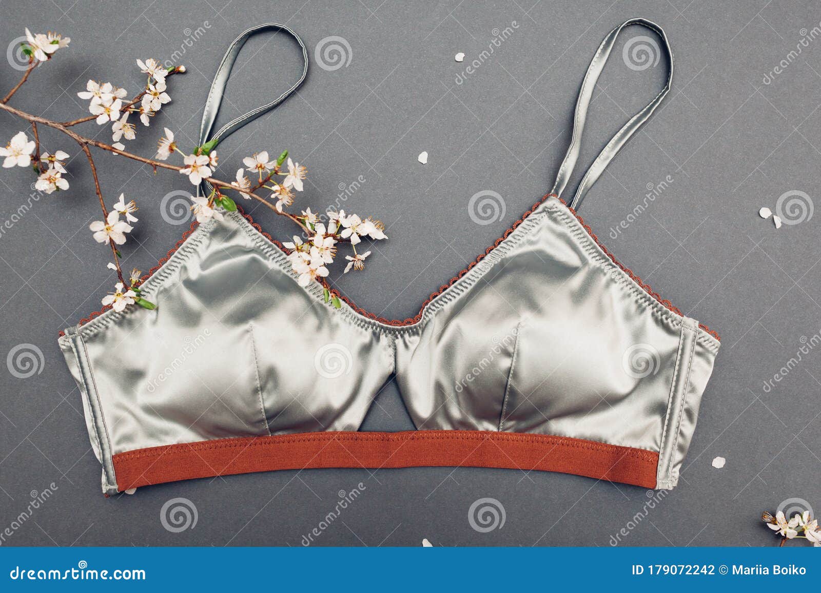 Female Silk Underwear with Spring Blossom. Satin Silver Bra with Lace Stock  Photo - Image of plum, clean: 179072242