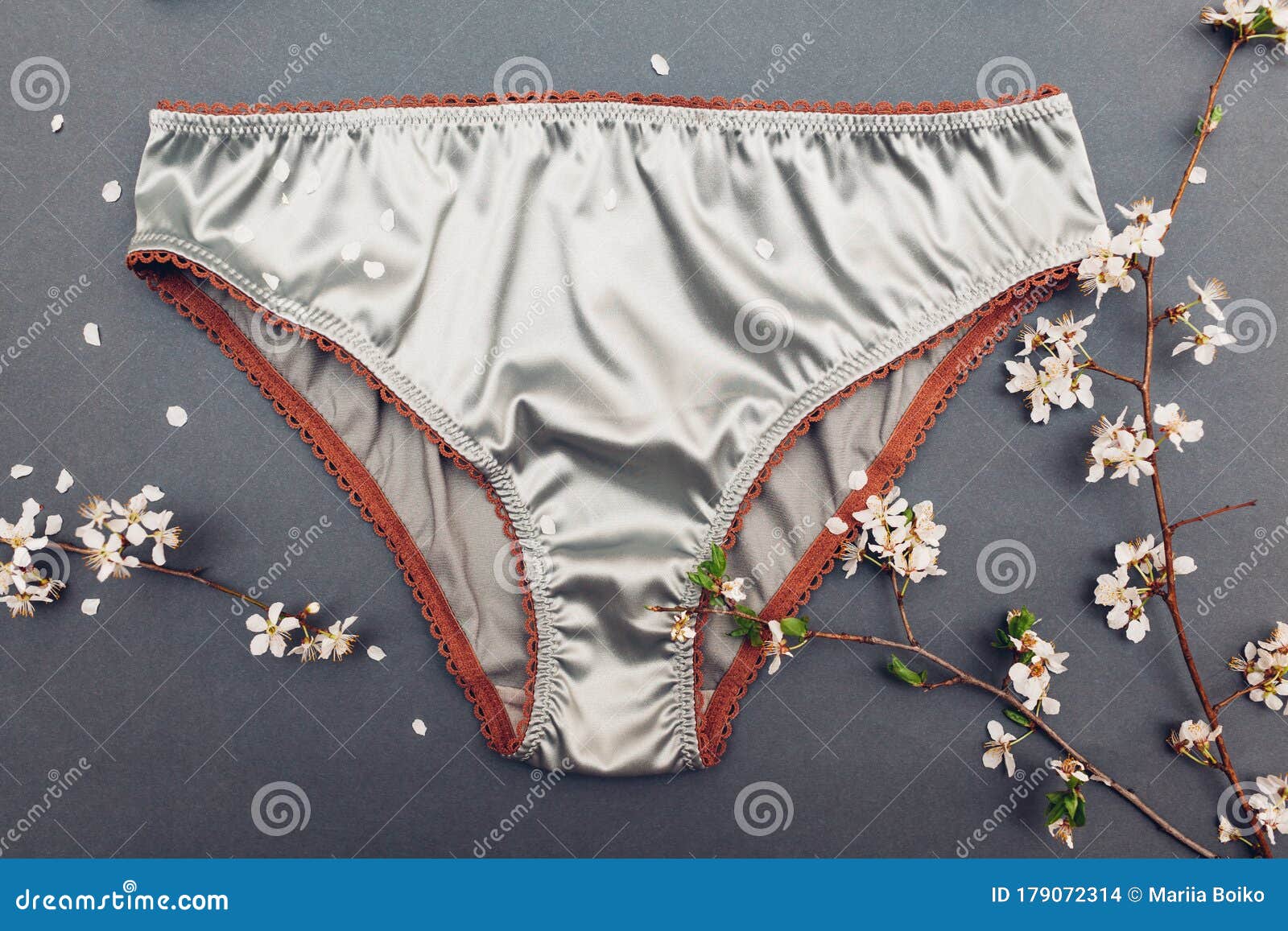 Female Silk Underwear with Spring Blossom. Satin Silver Panties