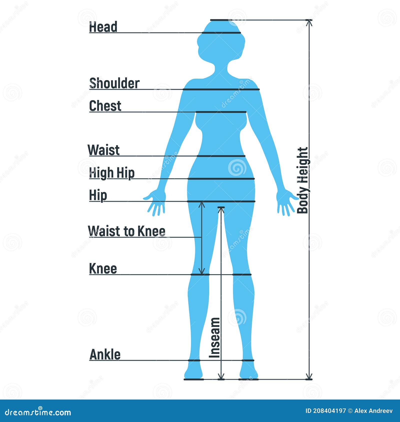 Female Body Diagram Front And Back Medical Human Body Outline Drawing