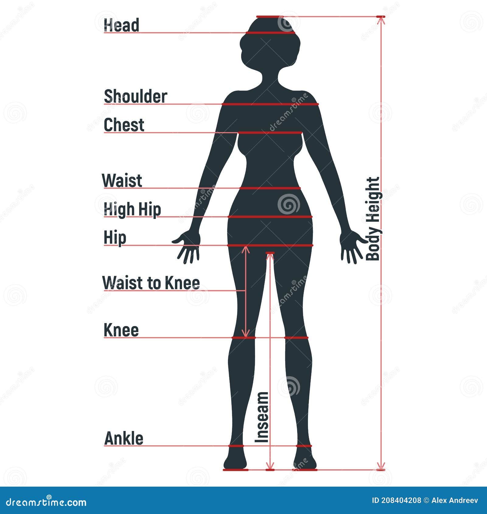 Female Body Diagram Front And Back : Medical Human Body Outline Drawing ...