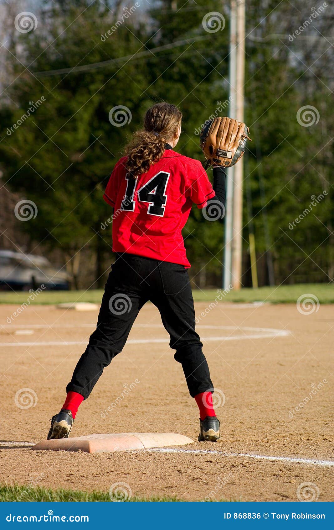 Female Softball Player Royalty Free Stock Image - Image: 868836