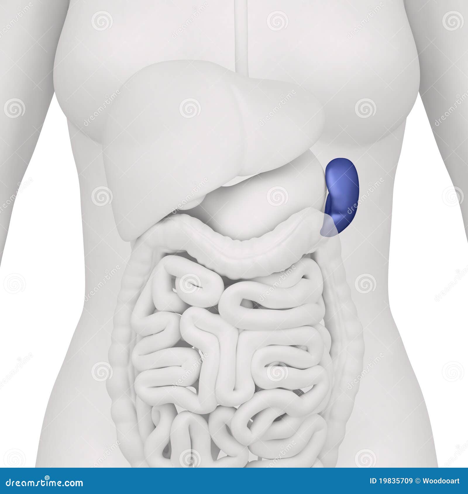 My Image 15