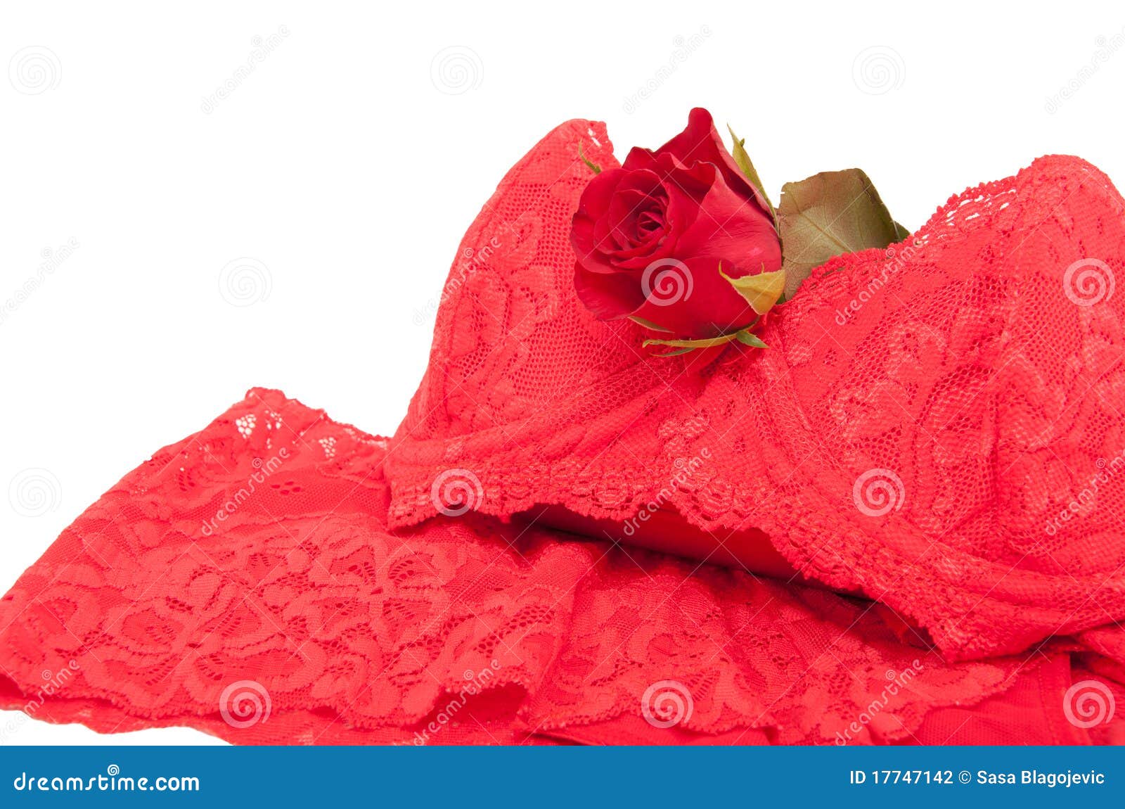 Female Underwear with Red Roses Stock Photo Image of fabric, isolated
