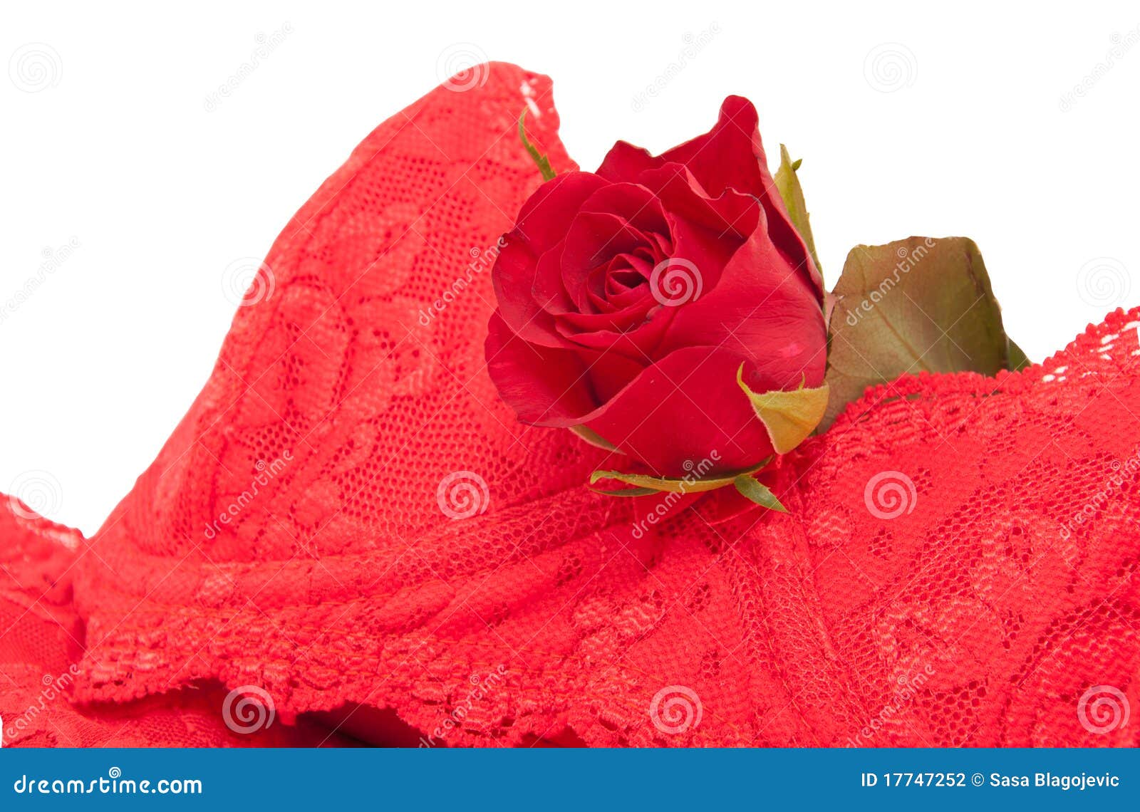 Female Underwear with Red Roses Stock Photo Image of anniversary