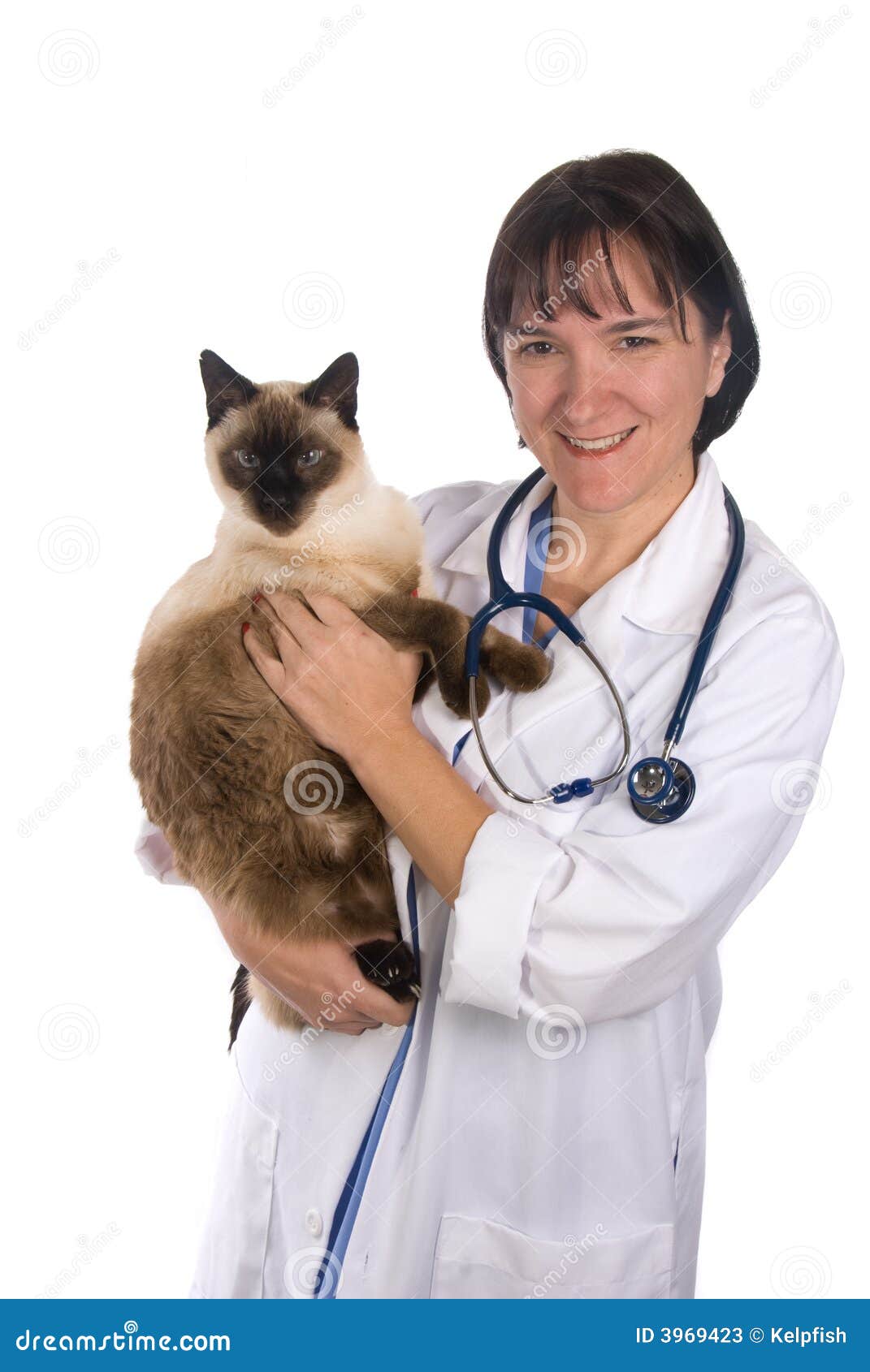 Female veterinarian stock image. Image of isolated, doctor 3969423