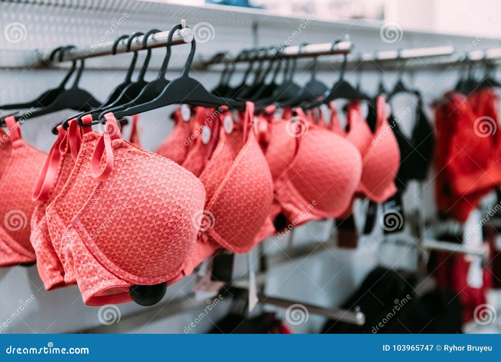 3,691 Bra Shopping Stock Photos - Free & Royalty-Free Stock Photos from  Dreamstime