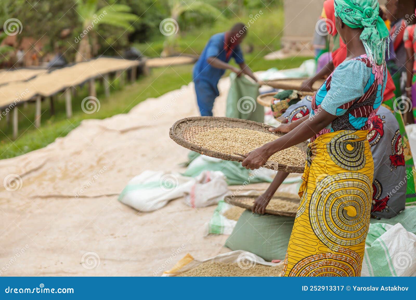 female workers sorting through coffee cherries in region of rwanda
