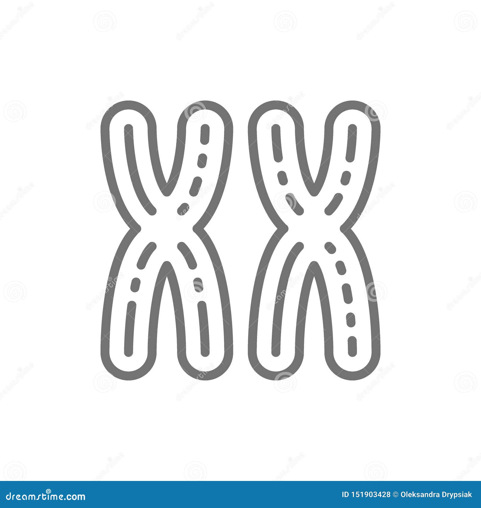 symbol for female chromosome symbol for female chromosome