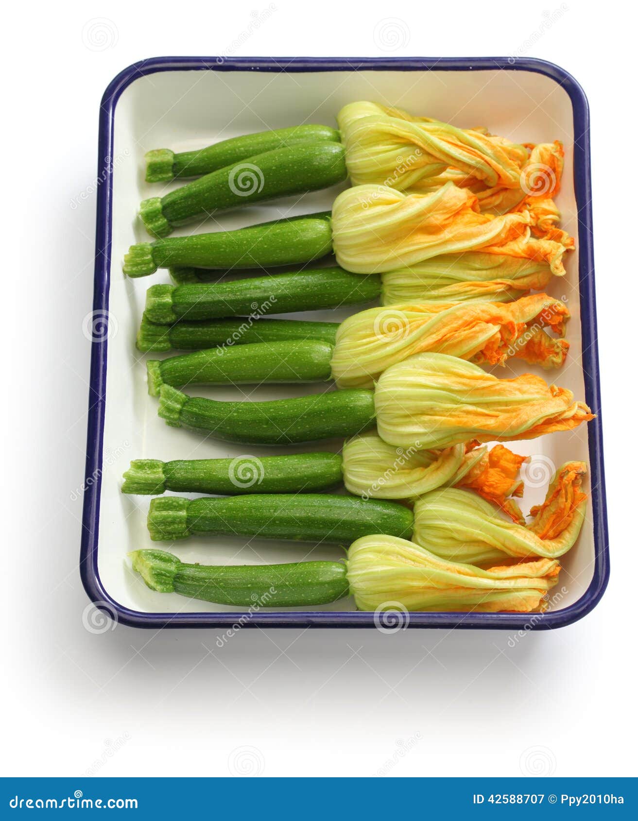 Female zucchini flowers stock image. Image of close, courgettes 42588707