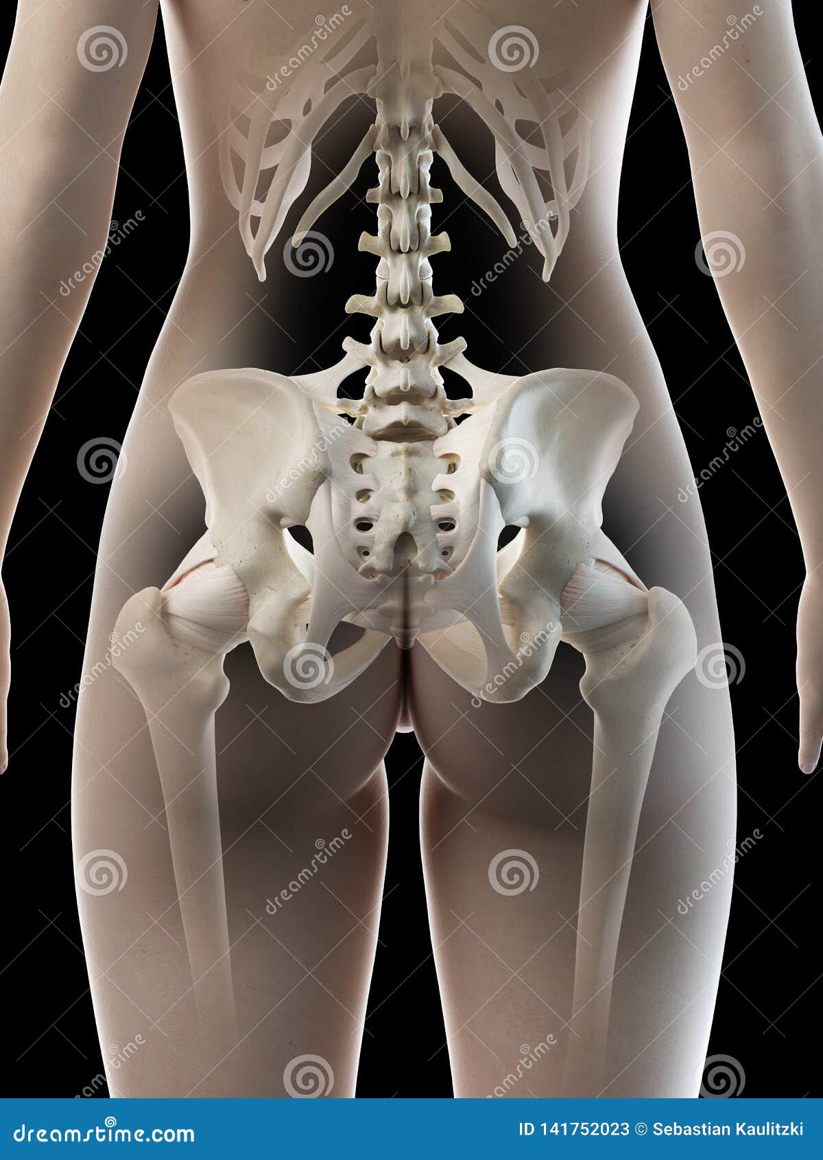 a females hip bone
