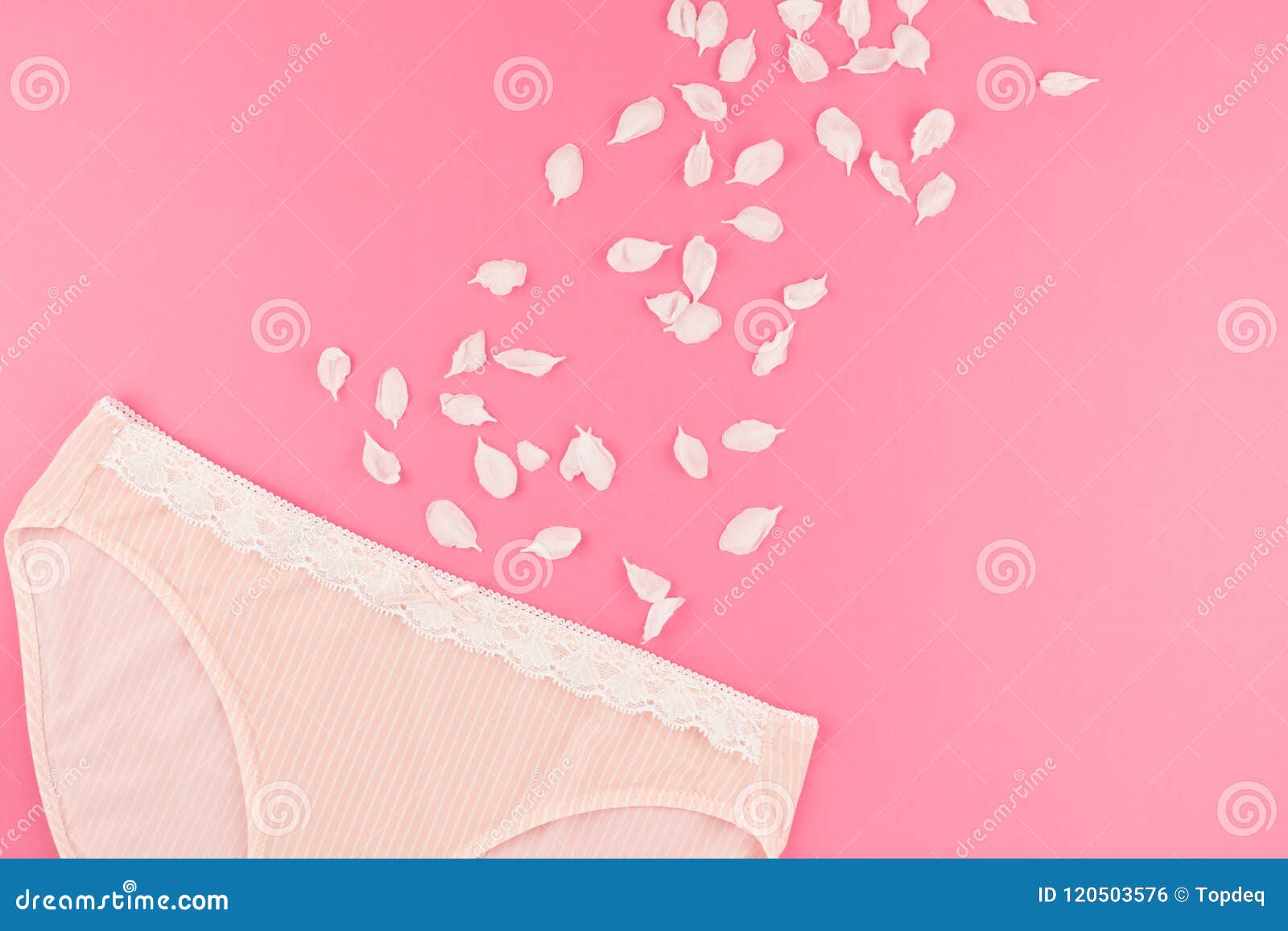 Sexy White Lace Bra And Panties On Pink Background. Stylish