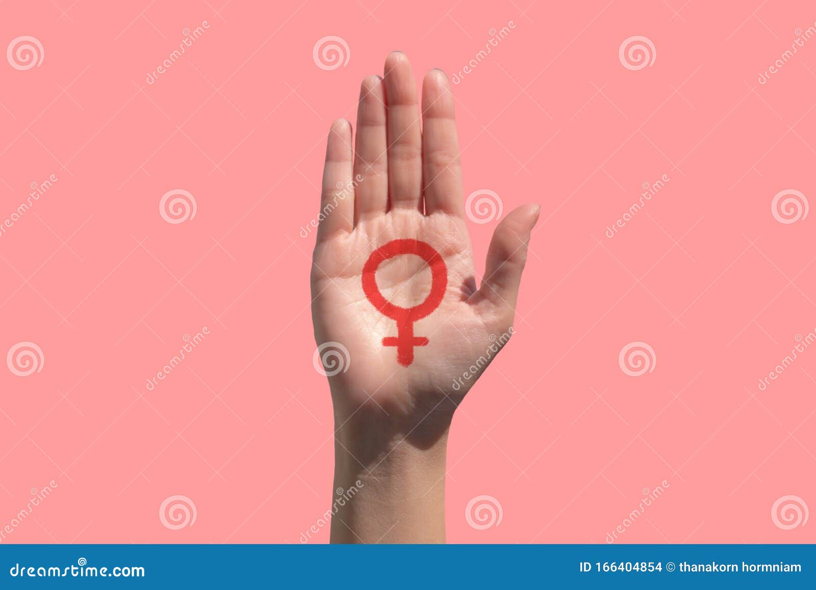 feminism icon in hand on pink background, power of women background concept