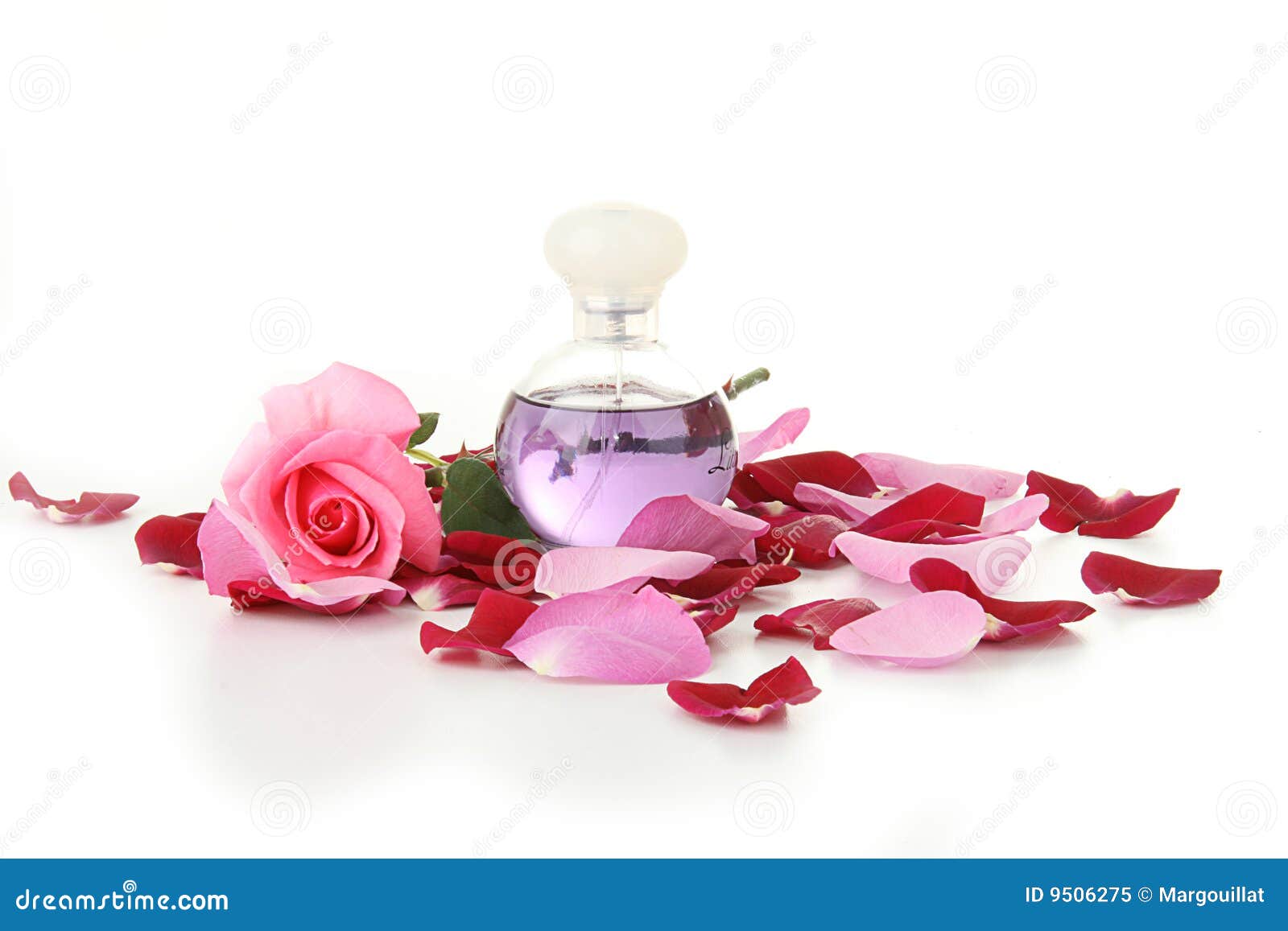 41,400+ Rose Petal Stock Photos, Pictures & Royalty-Free Images