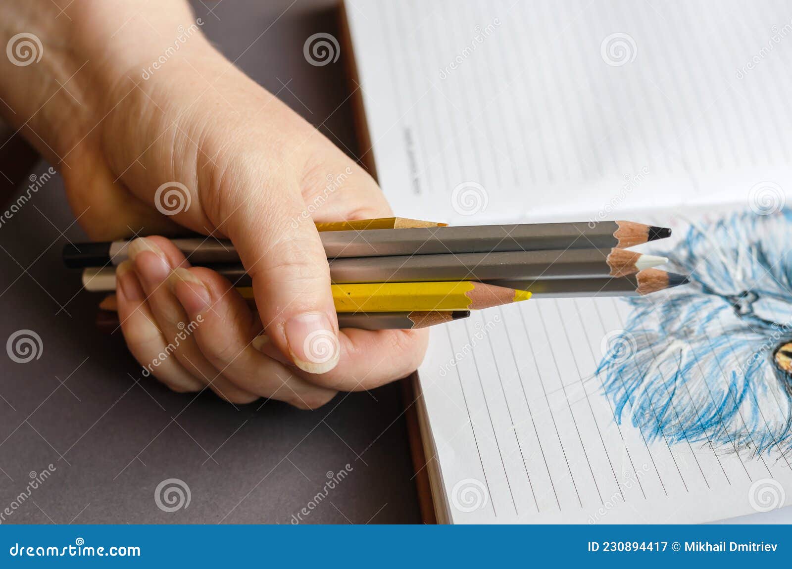 Femme Adulte Tenant Des Crayons Colorés Sur Un Journal Intime Ouvert. Stylo  Bleu Image stock - Image du artiste, numéro: 230894417