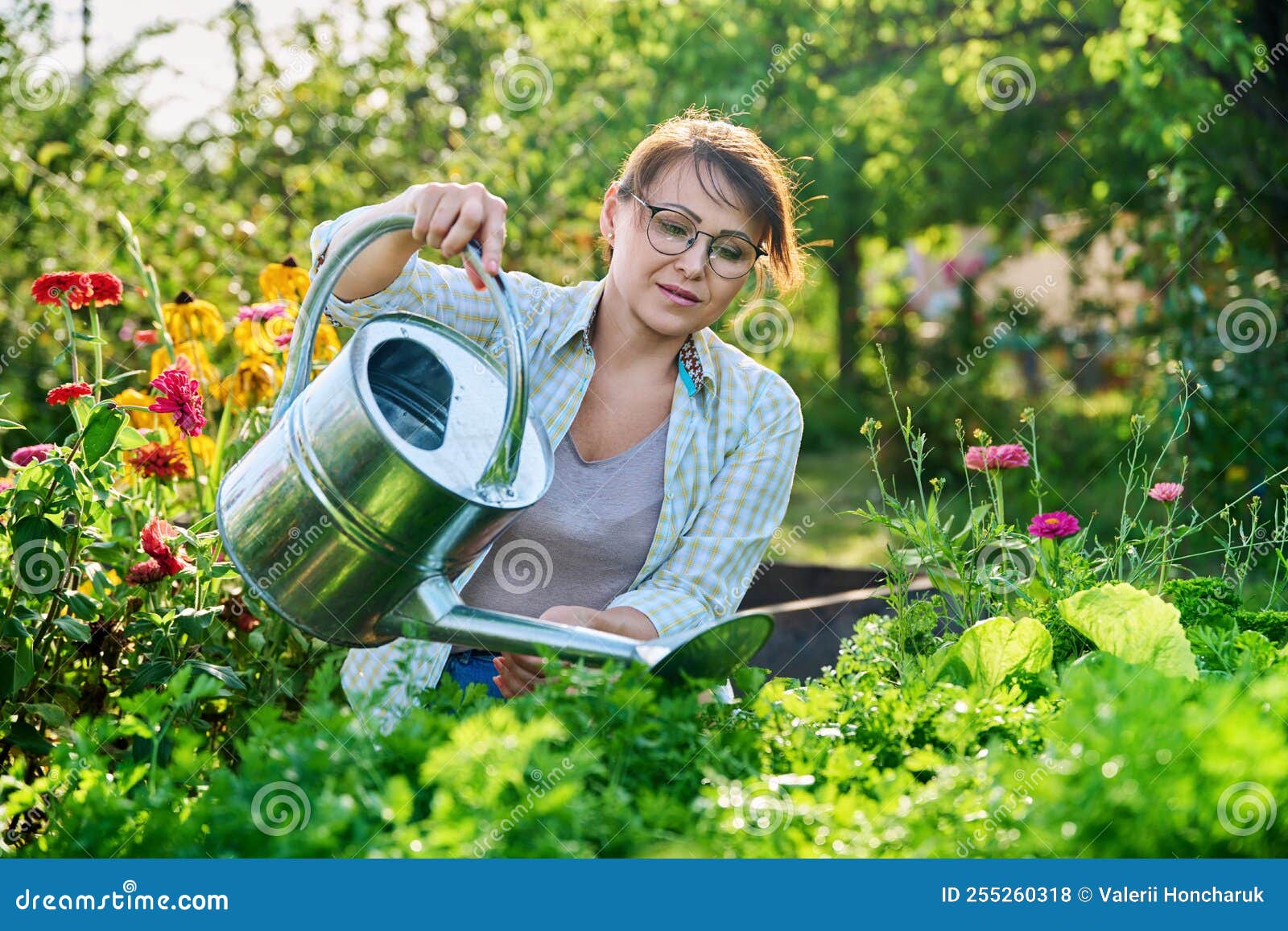 Femme Avec Arrosoir Dans Potager Jardin En été Photo stock - Image du  ferme, vert: 255260318