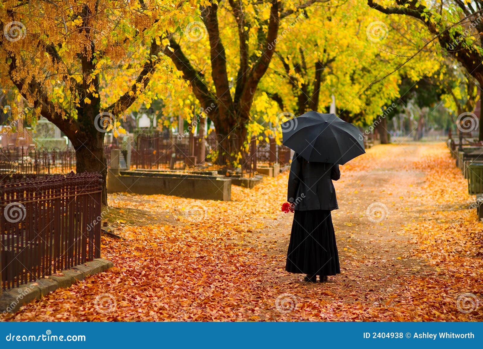 Femme De Deuil Dans L'automne Photo stock Image du tombe, deuil 2404938