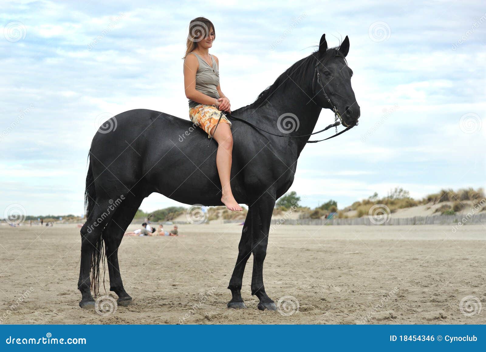 Femme Et Cheval Sur La Plage Photo stock Image du beauté, beau 18454346