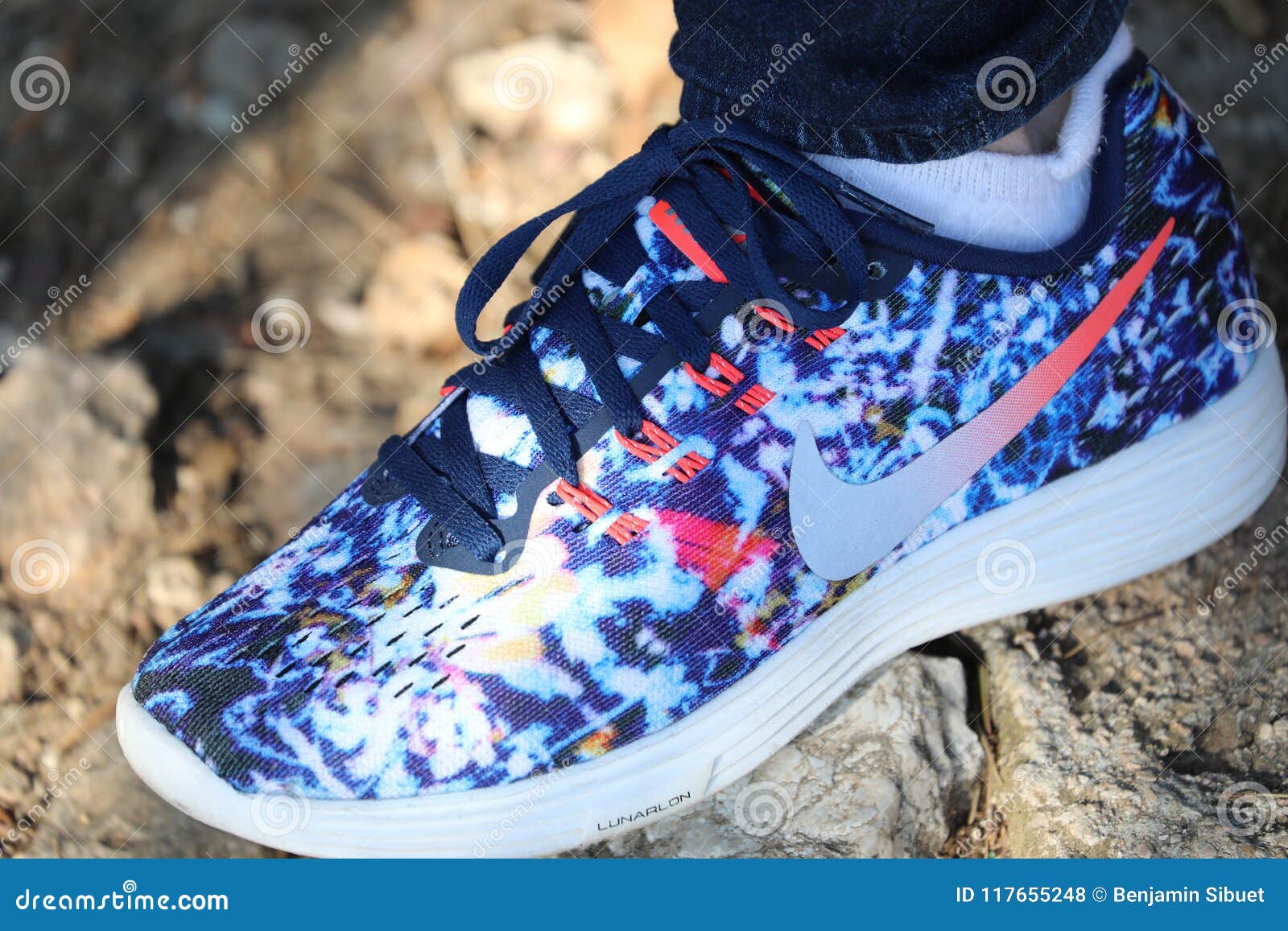 Femme Nike Lunarlon Running Shoe Multicolor Photo stock éditorial - Image du femme, shoe: 117655248