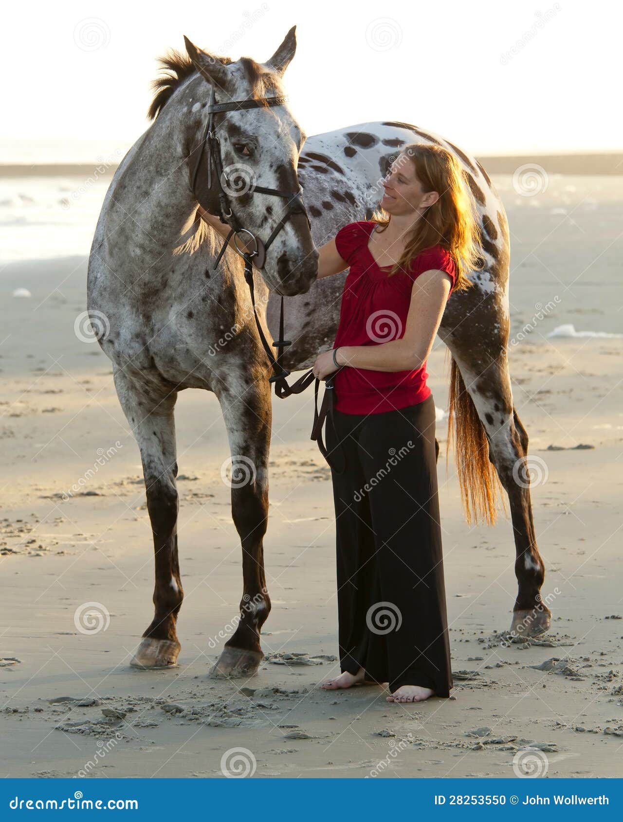 Femme Sur La Plage Avec Le Cheval Photo stock Image du animal, mode
