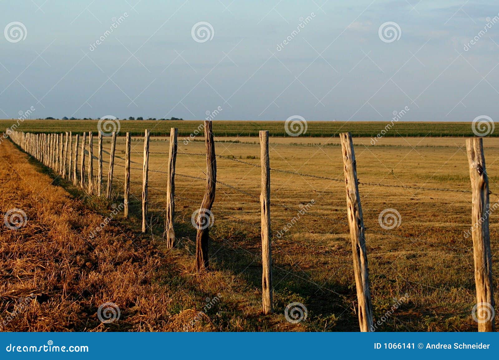 Fence stock image. Image of land, fence, wheat, nature 1066141