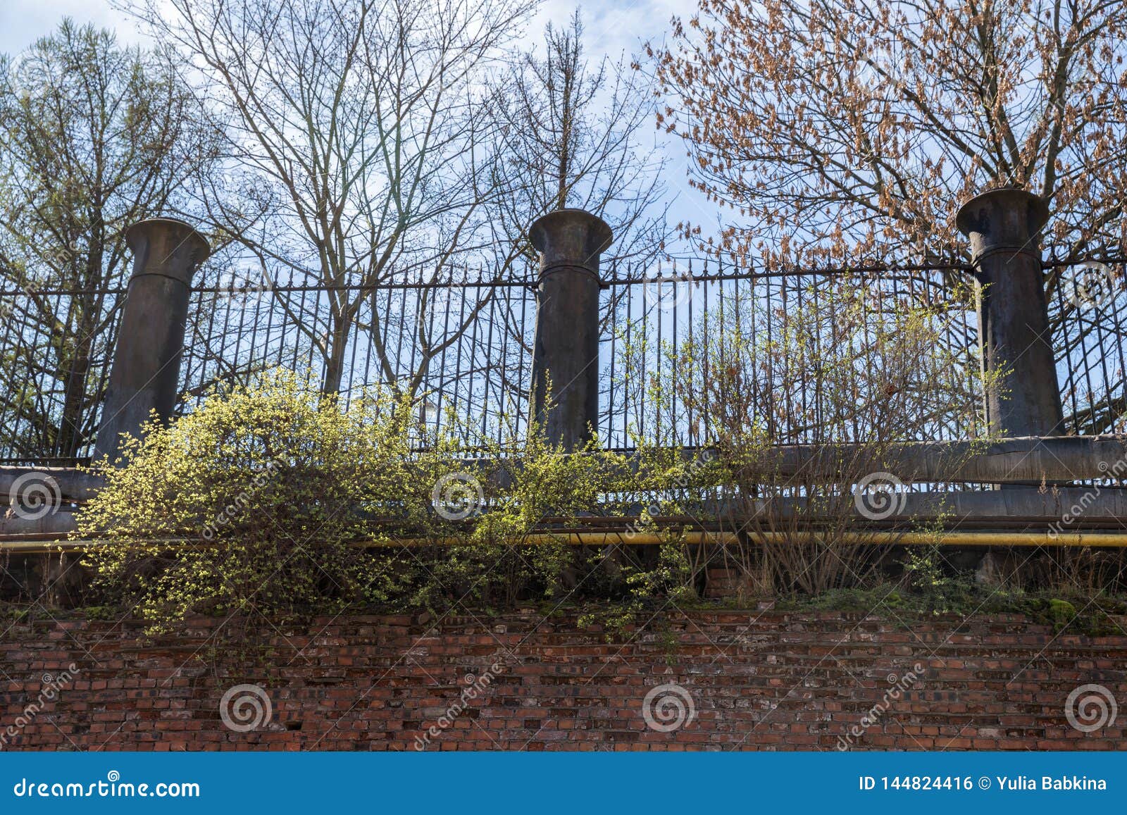 fence of the barrels of guns