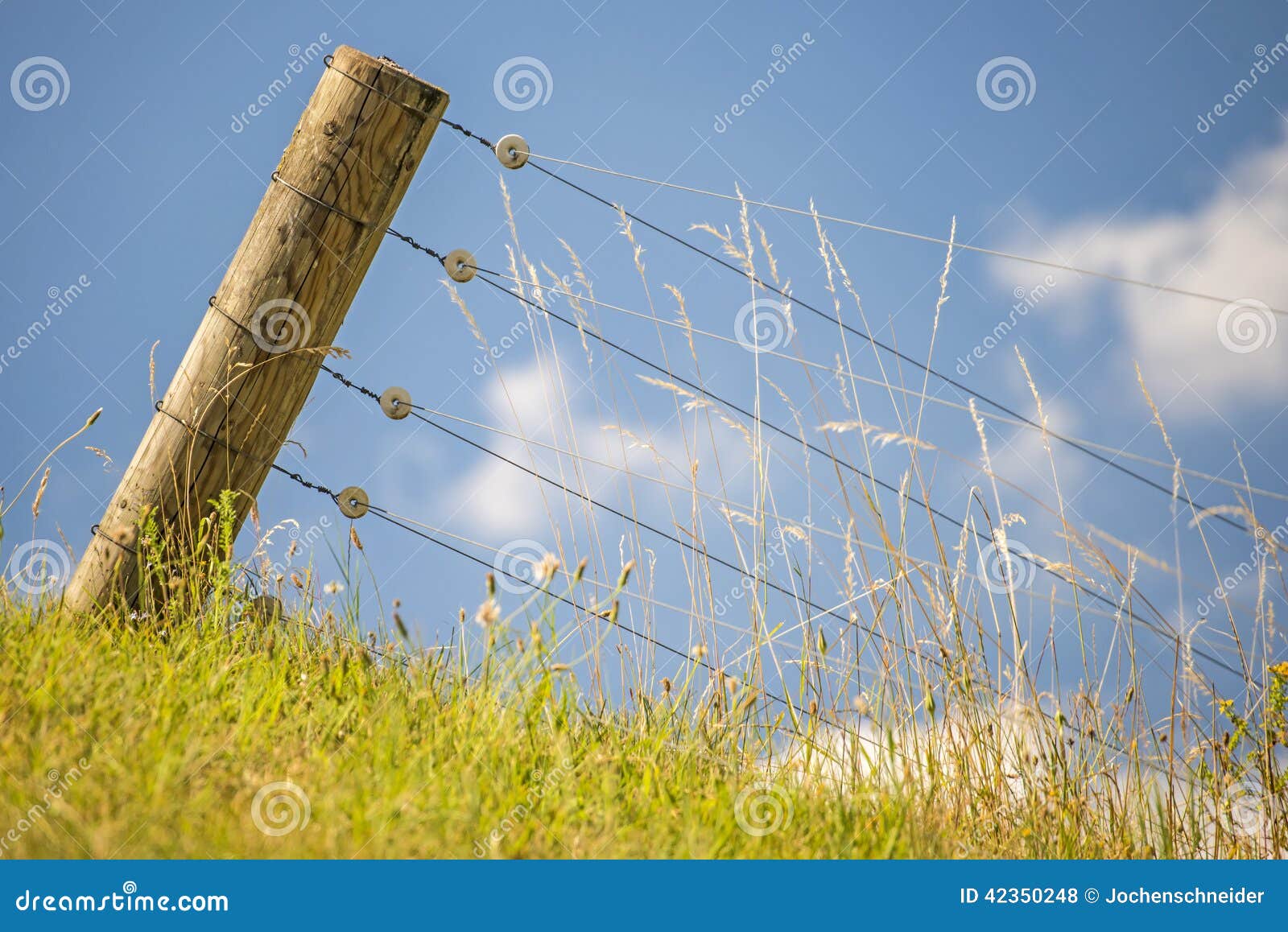 Fence with blue sky stock photo. Image of enclose, still 42350248