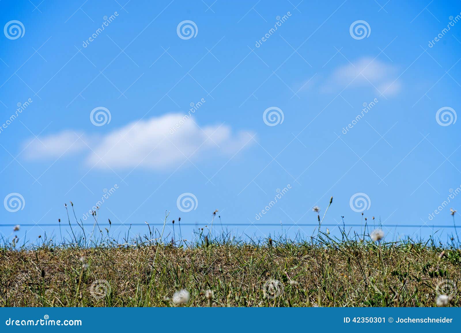 Fence with blue sky stock image. Image of fence, idyll 42350301