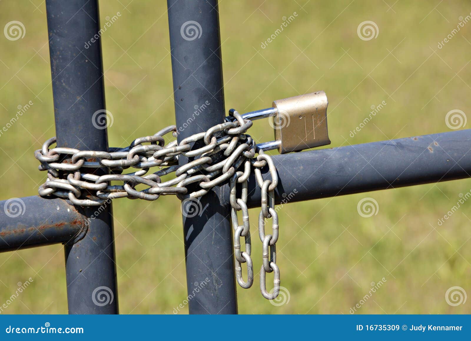 Fence with chain and lock stock image. Image of trees - 16735309