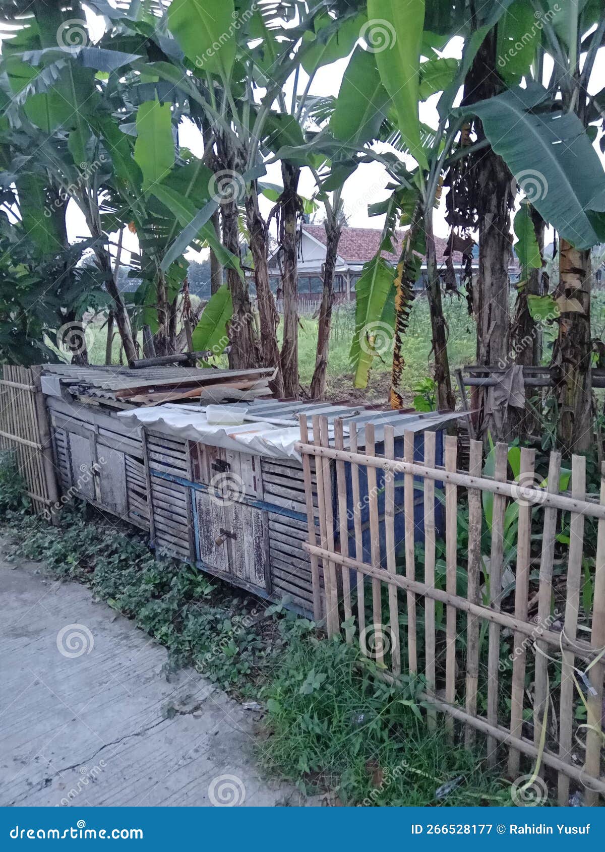 Fence and Chicken Coop in the Garden Stock Image Image of chicken