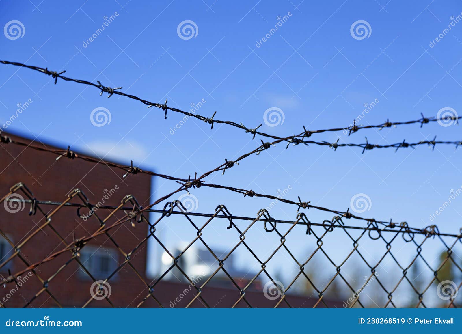 Fence of Chicken Net in Metal with Barbed Wire Stock Image - Image