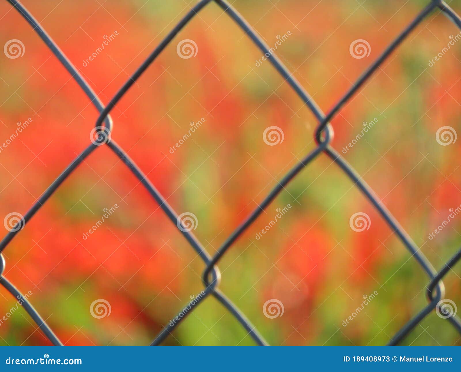 fence fence fence enclosure protection wire particular separation