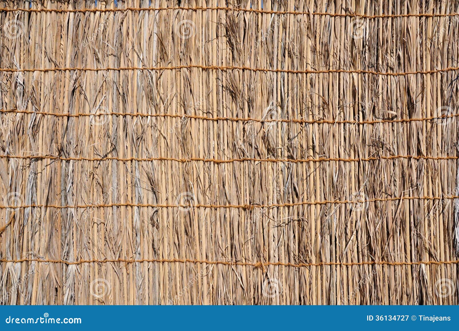 Fence Made of Palm Leaves. Stock Image - Image of rope, yellow: 36134727