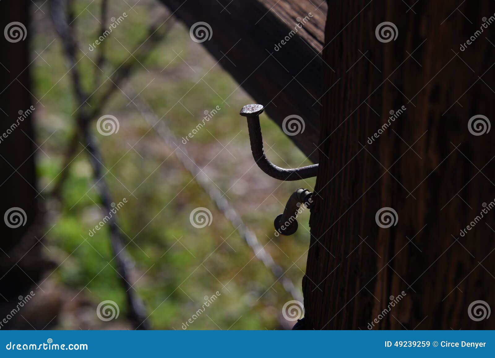Fence Nails stock image. Image of wood, grunge, board 49239259
