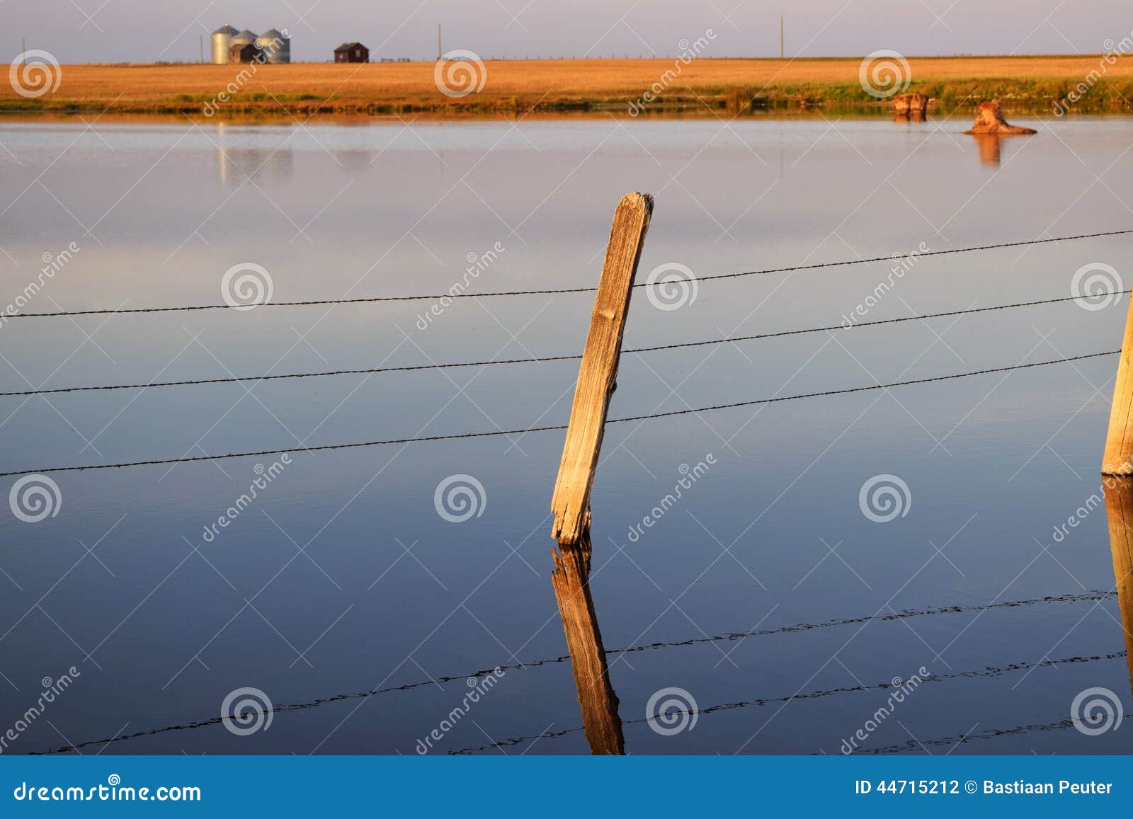 Fence Post in the water stock photo. Image of wire, fence 44715212