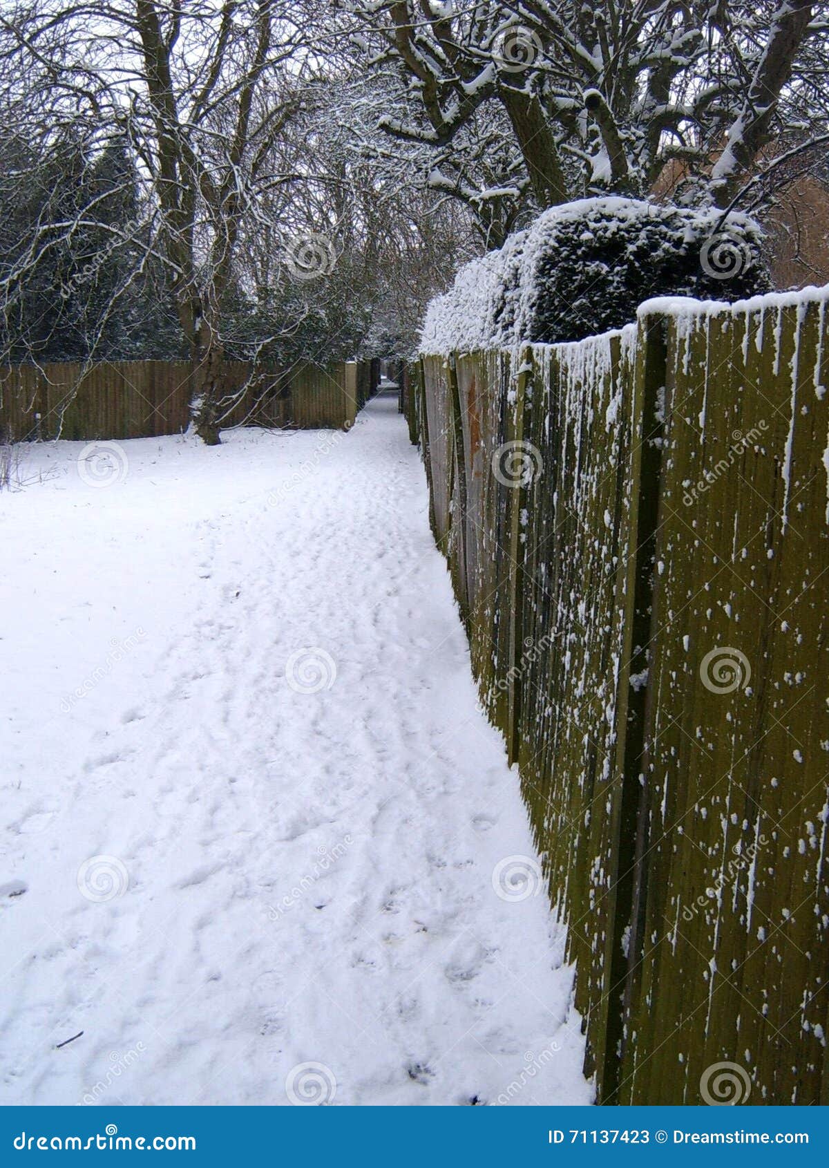 Fence in winter stock image. Image of trees, path, branches 71137423
