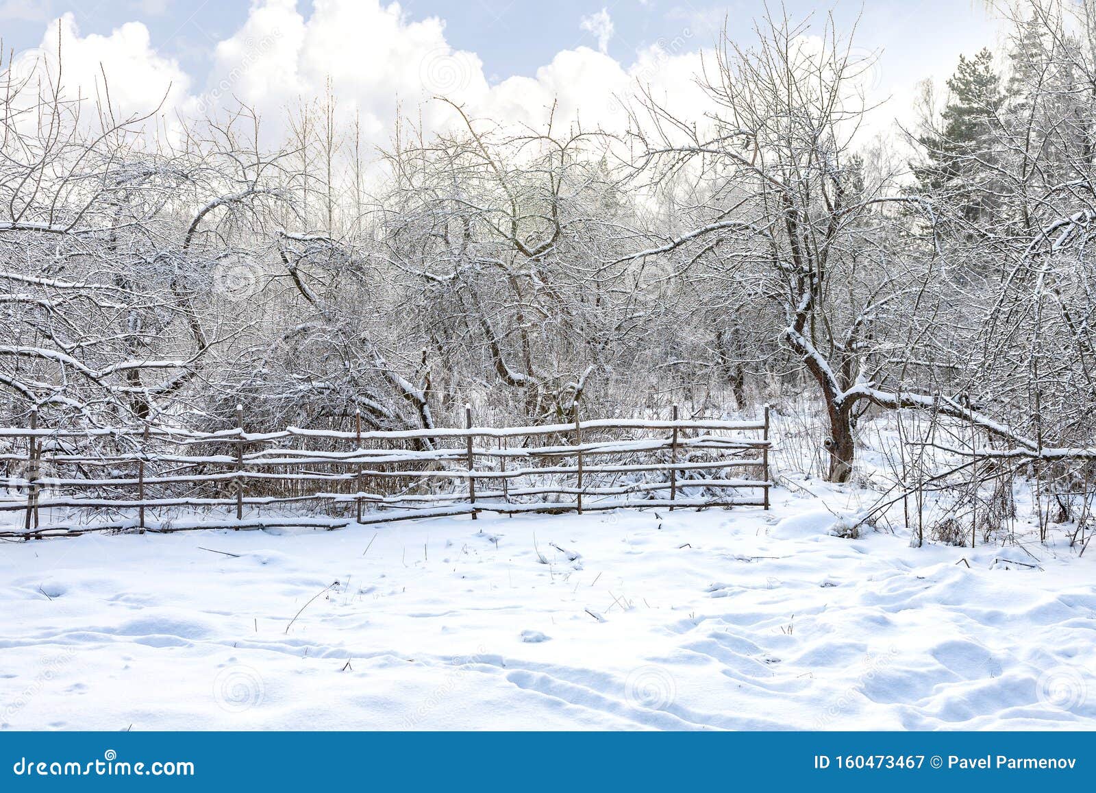 Fence in the winter garden stock image. Image of parkland 160473467
