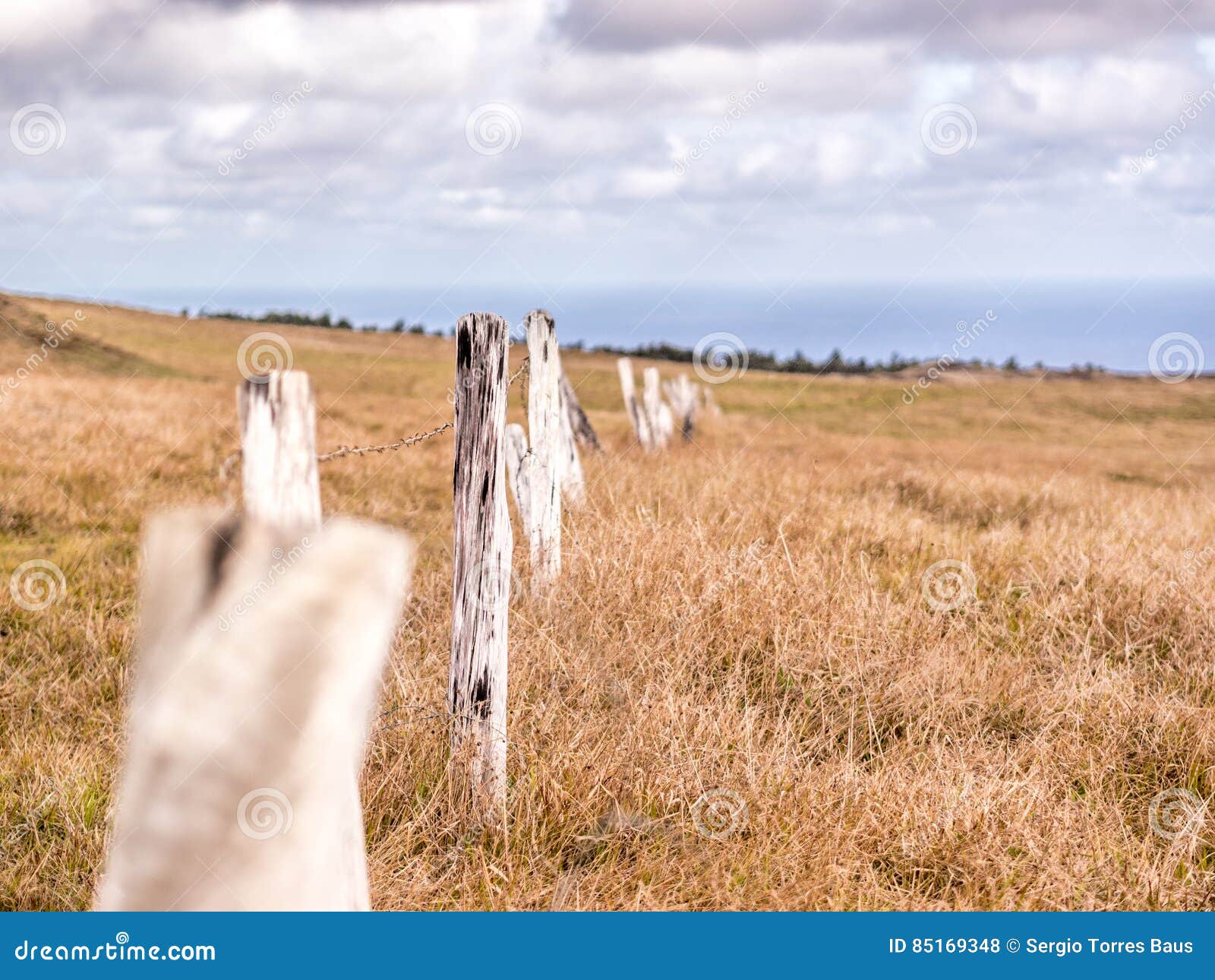 Fences of Easter Island stock photo. Image of national 85169348