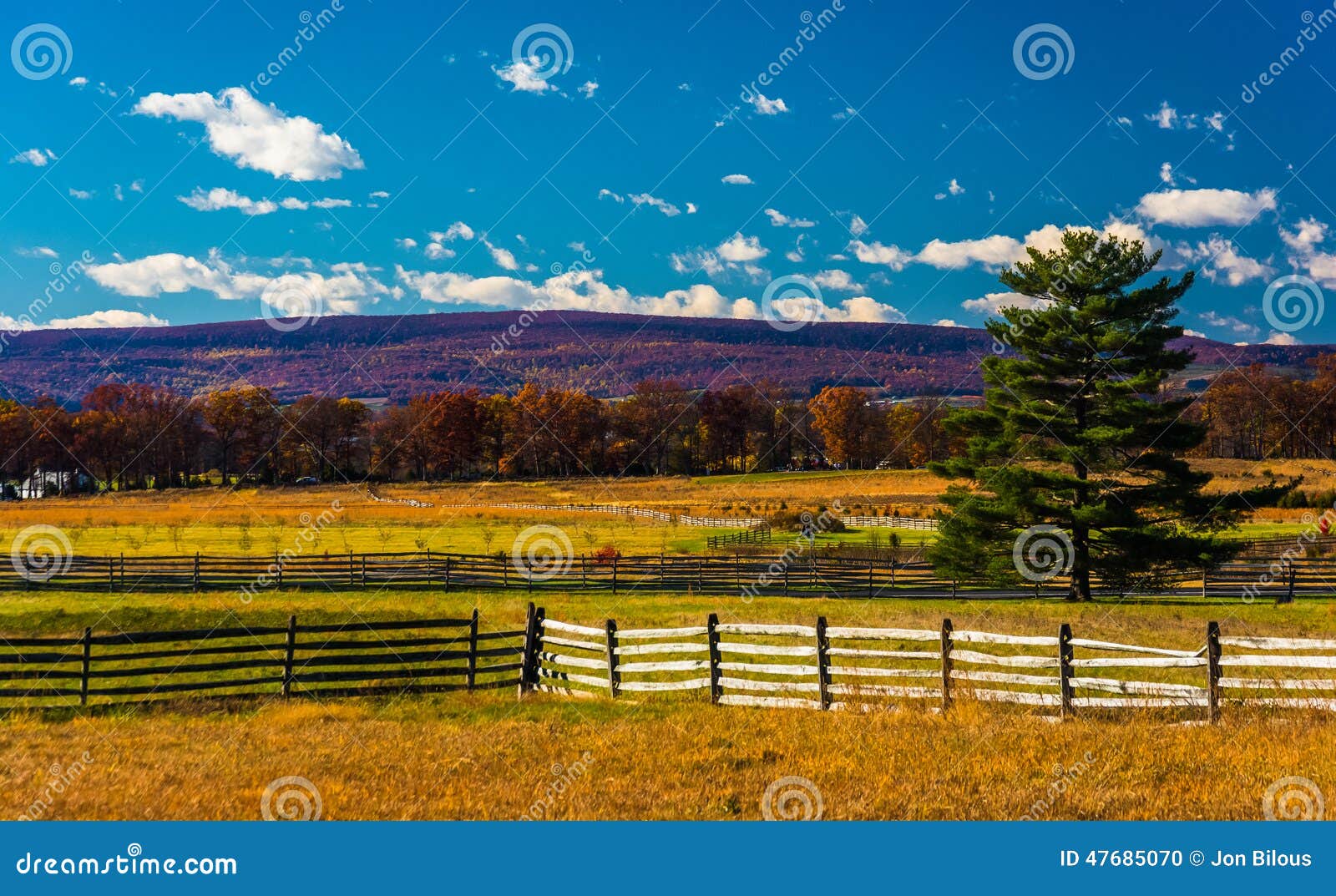 Fences and Pine Tree in a Field in Gettysburg, Pennsylvania. Stock Photo Image of scenic