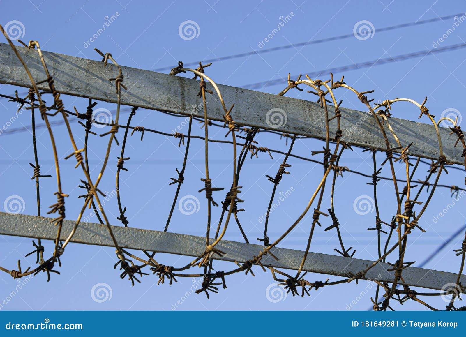 Fencing with Barbed Wire Against the Blue Sky Stock Image Image of