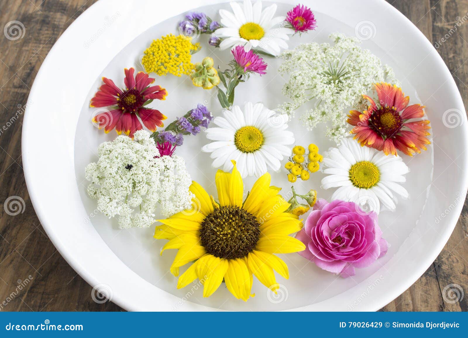 Feng Shui, Flowers in a Bowl with Water Stock Image Image of pistils